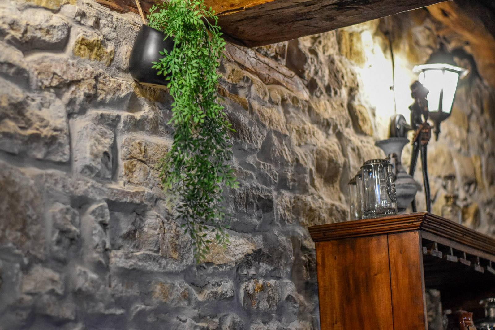 Vila Manoya Gallery 49